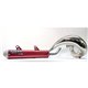 Silenciador Beta RR 250/300 14-19 (RED SILENCER CAN)